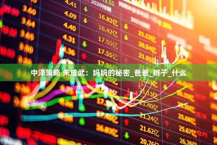 中泽策略 朱成武：妈妈的秘密_爸爸_辫子_什么