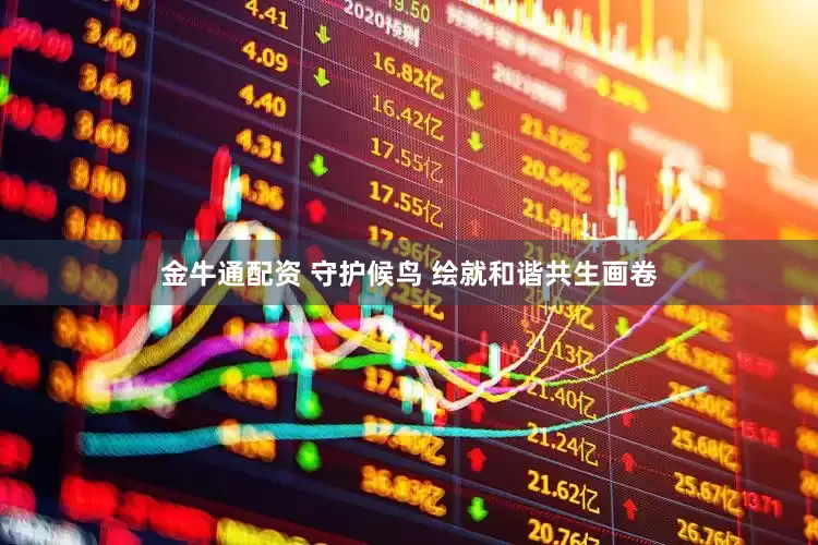 金牛通配资 守护候鸟 绘就和谐共生画卷