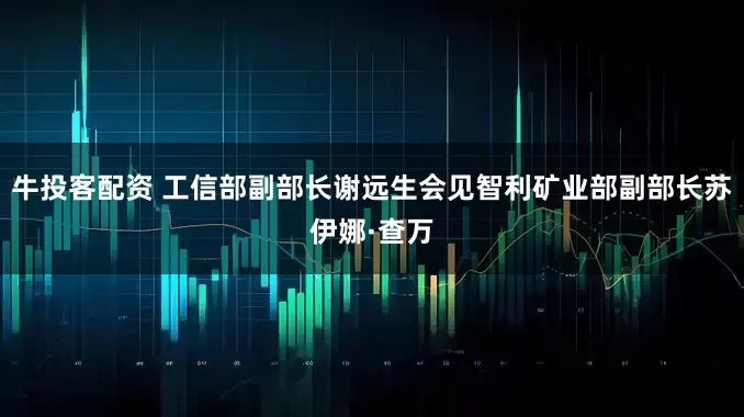 牛投客配资 工信部副部长谢远生会见智利矿业部副部长苏伊娜·查万